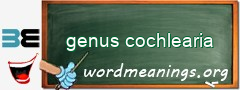 WordMeaning blackboard for genus cochlearia